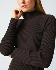 Women Turtleneck Sweater Dress Coffee Bean | Billy Reid Dresses
